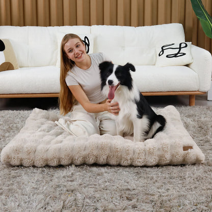 Ultra-soft Plush Dog Bed