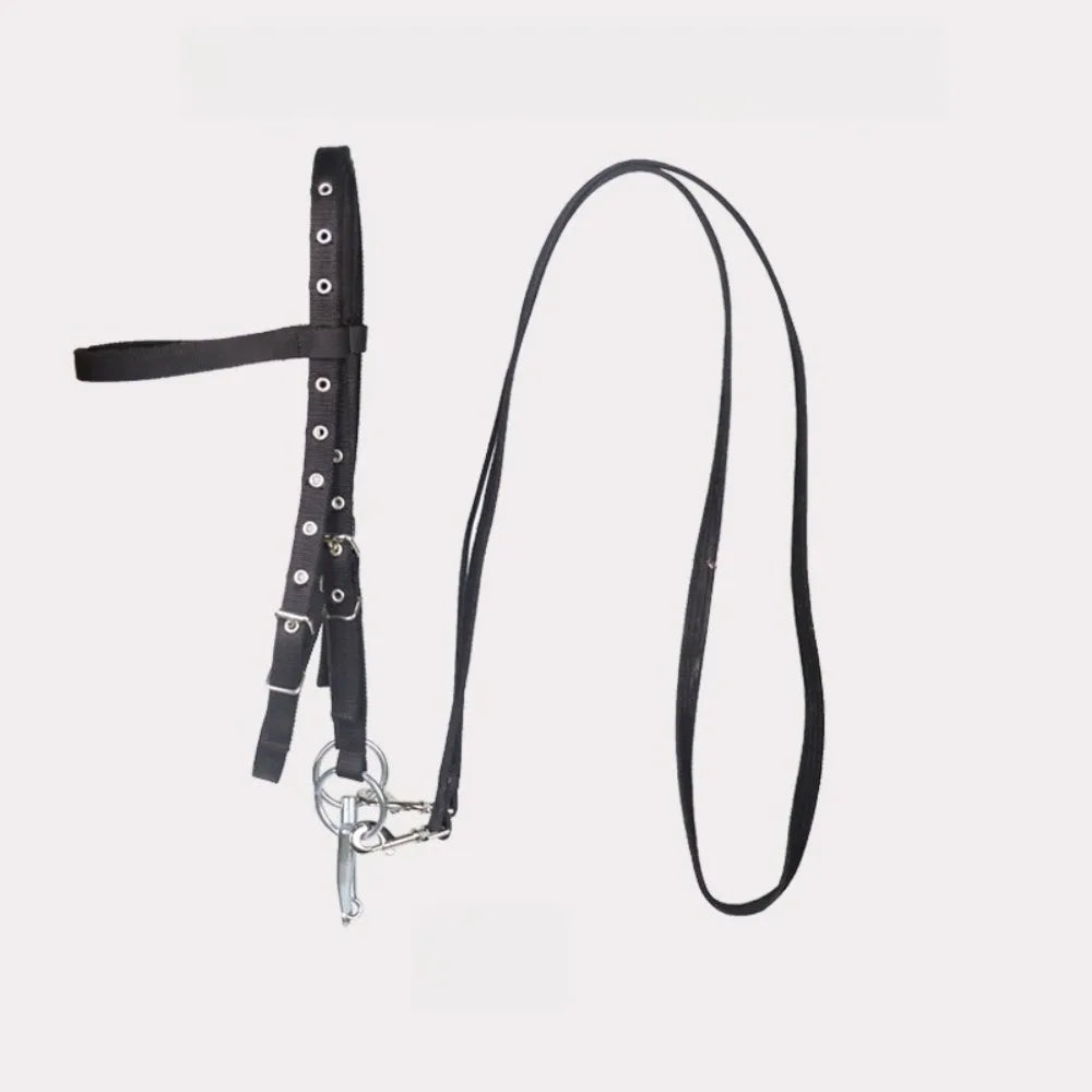 Riding Bridle Reins with Standard Thread Plate