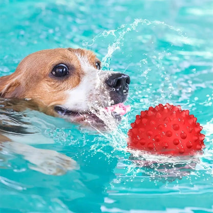 2 Pack Dog Balls