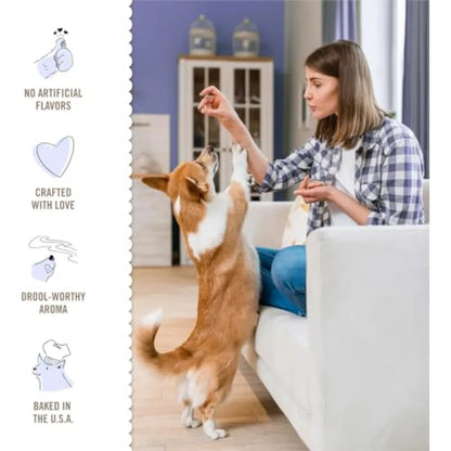 Cake Bites, Soft-Baked Dog Treats