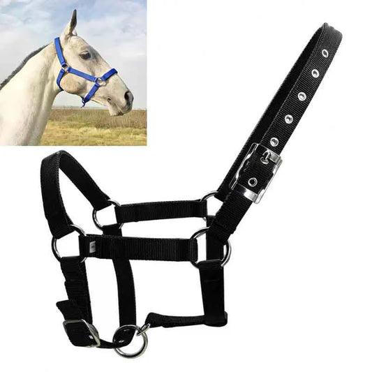 Adjustable Nylon Webbing Equestrian Western Horse Halter