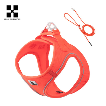 Dog Harness Leash Set