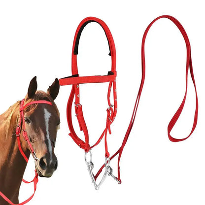 Horse Bridle Adjustable Snaffle Noseband and Reins