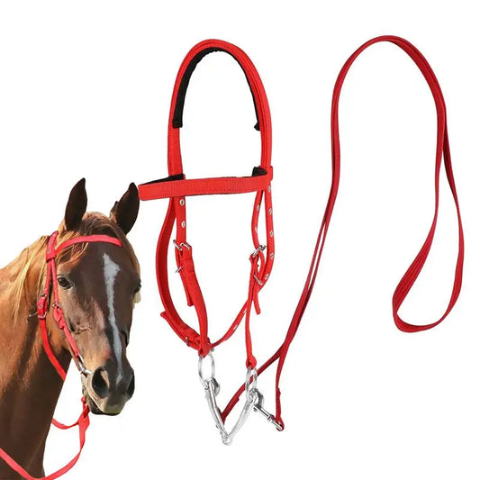 Horse Bridle Adjustable Snaffle Noseband and Reins
