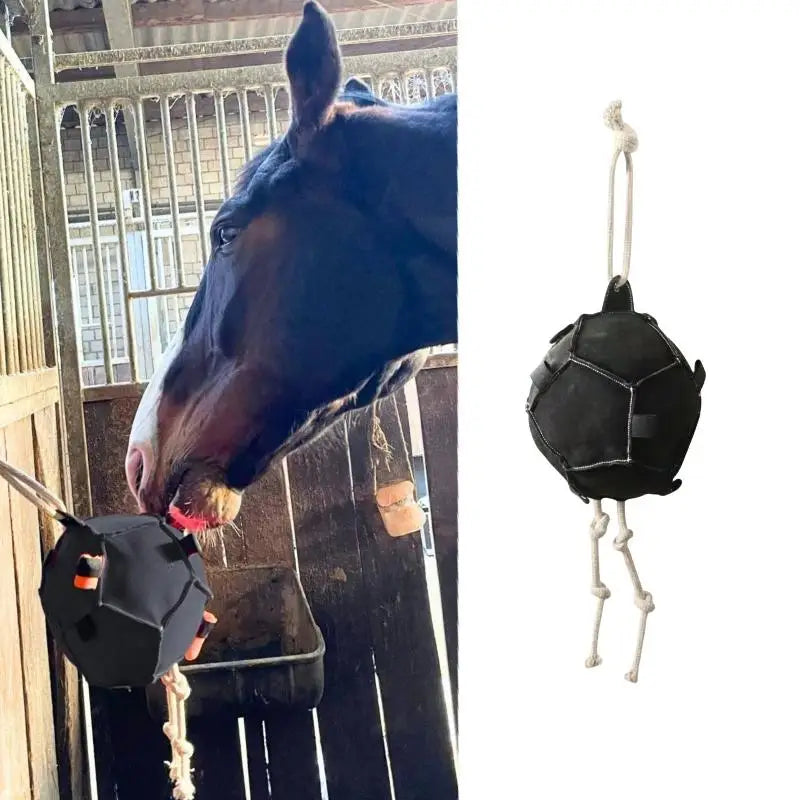 Enrichment Hay Ball Feeder To