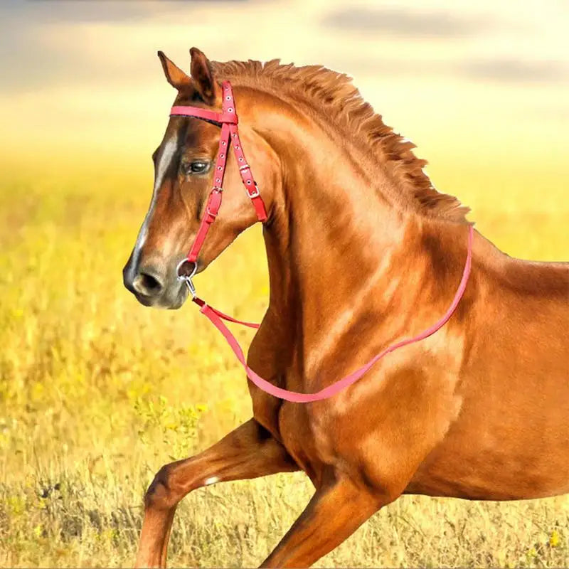 Horse Bridle Adjustable Snaffle Noseband and Reins