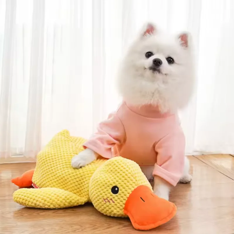 Duck dog toy