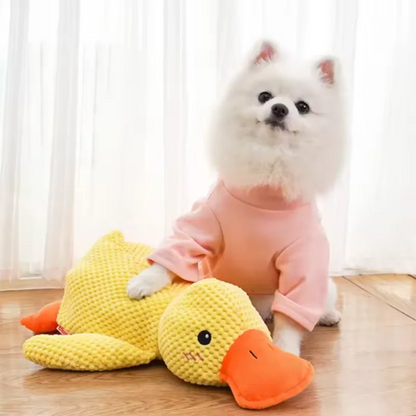 Duck dog toy