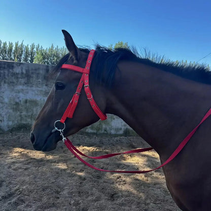 Horse Bridle Harness Set