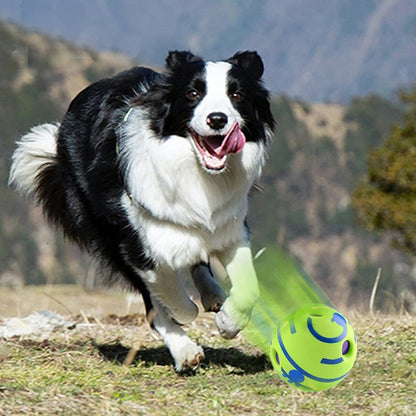 Dog Toy  Glow Ball