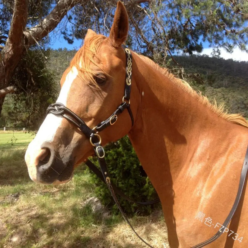 PU Leather Horses Bridle Halters