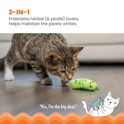 Cat Toy