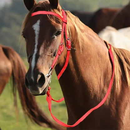 Horse Bridle Adjustable Snaffle Noseband and Reins