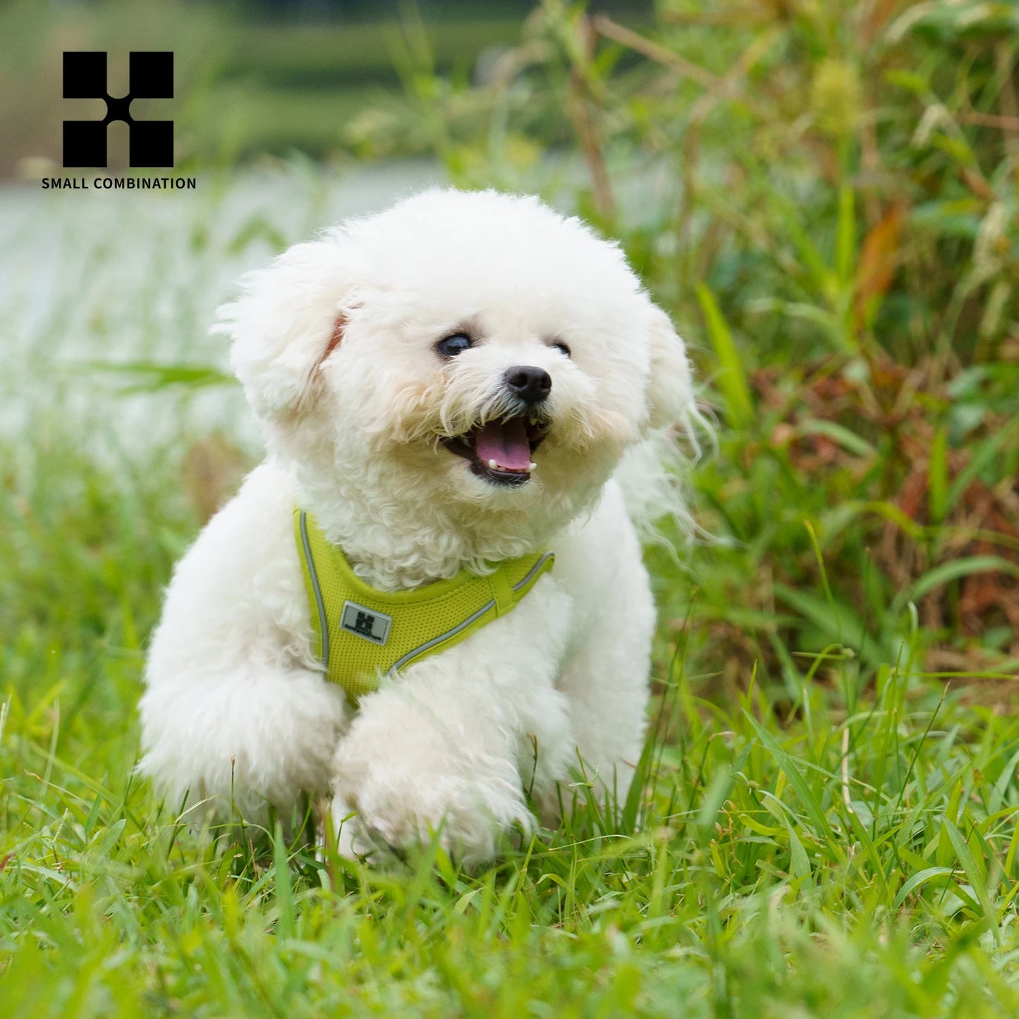 Dog Harness Leash Set