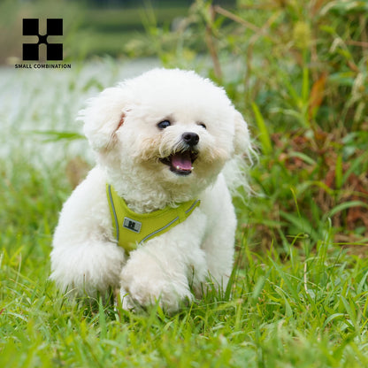 Dog Harness Leash Set
