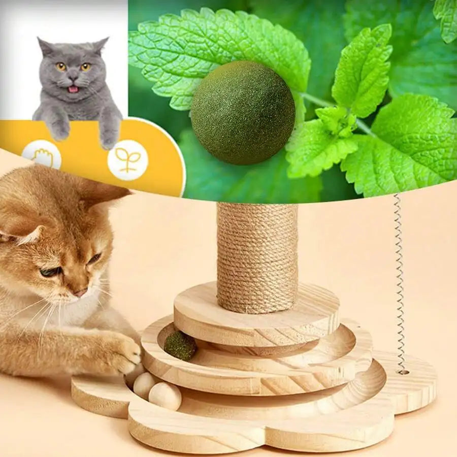 4-In-1 Interactive Cat Toy