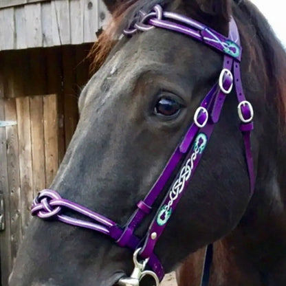 PU Leather Horses Bridle Halters