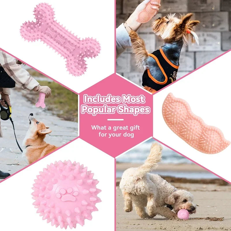 Dog Chew Toys
