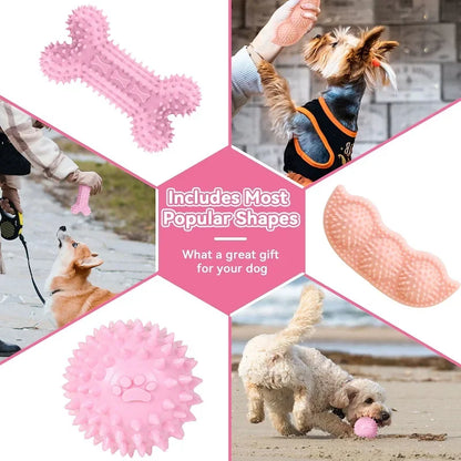 Dog Chew Toys
