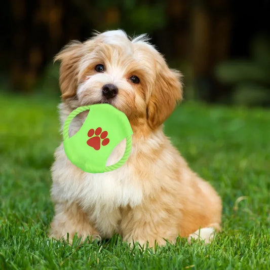 Cotton Rope Dog Interactive Toy
