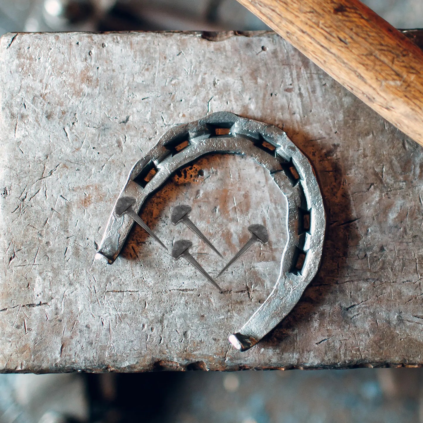 50Pcs Iron Horseshoe Nails