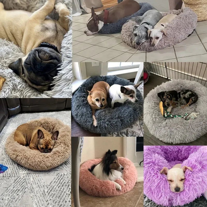 Round Beds