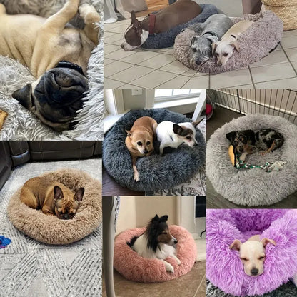 Round Beds