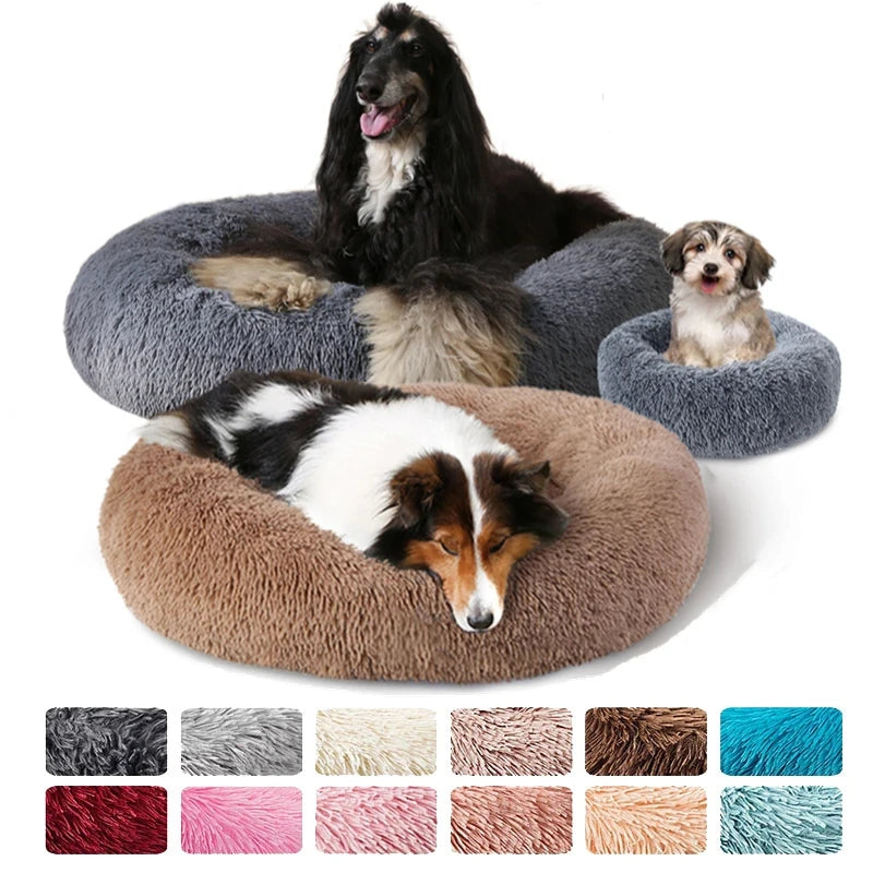 Round Beds