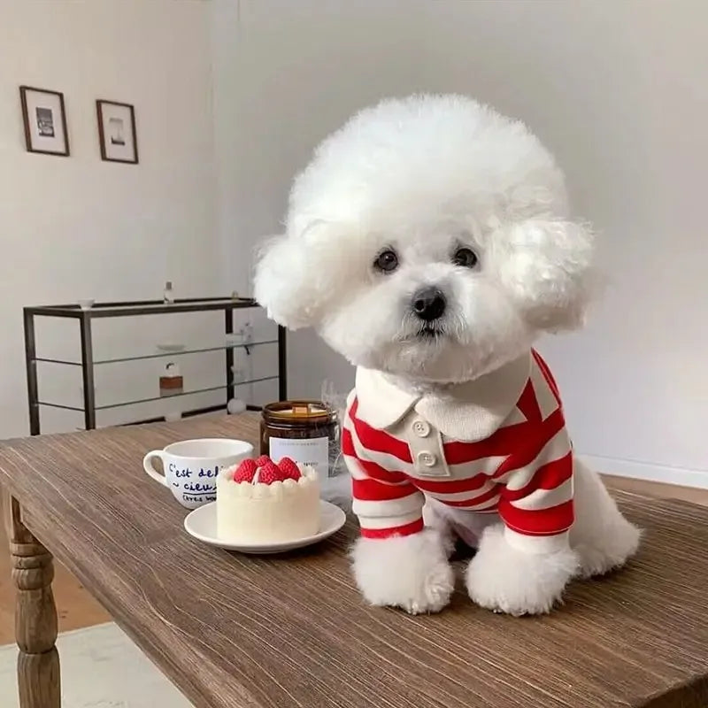 Summer Polo Shirt