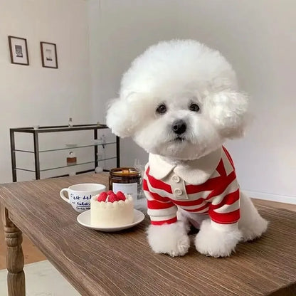 Summer Polo Shirt