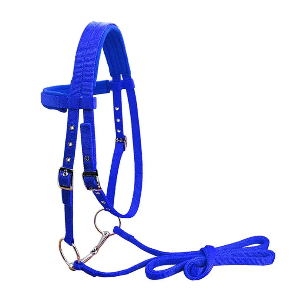 Horse Bridle Rein Harness