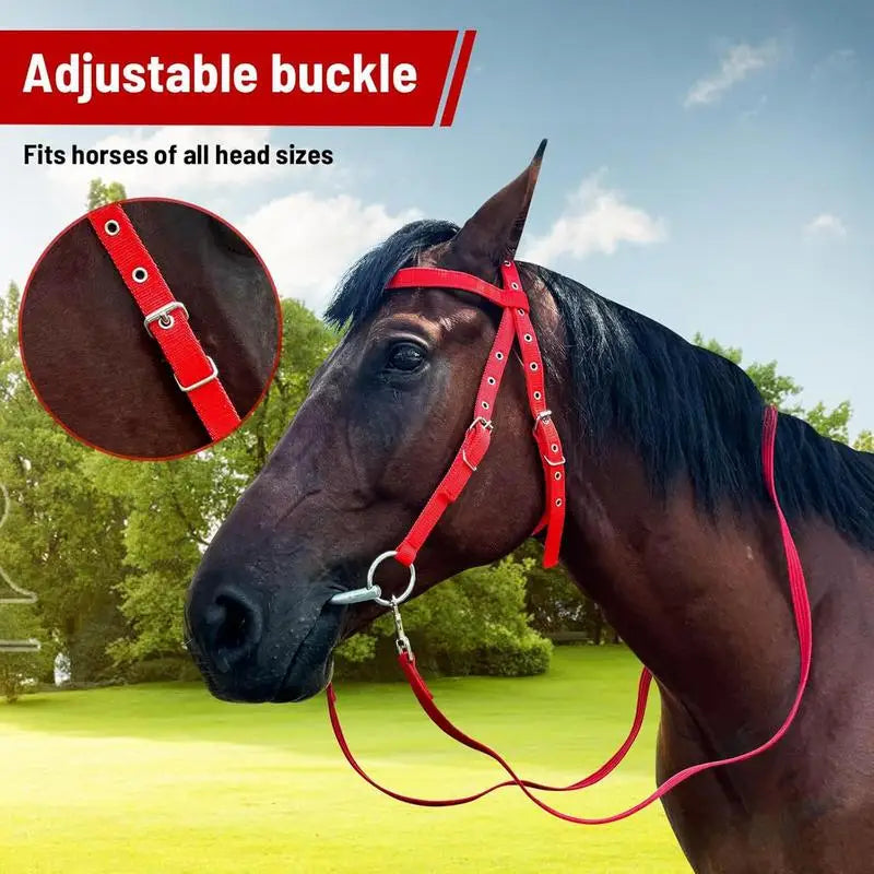 Horse Bridle Adjustable Snaffle Noseband and Reins