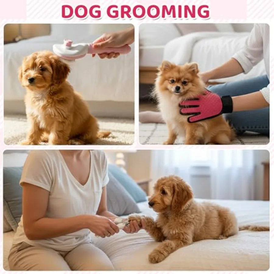 Puppy Supplies Starter Kit