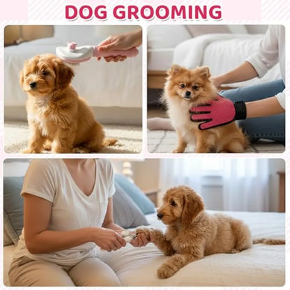 Puppy Supplies Starter Kit