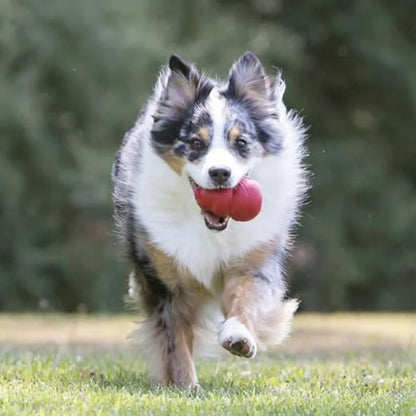 Classic Stuffable Dog Chew Toy