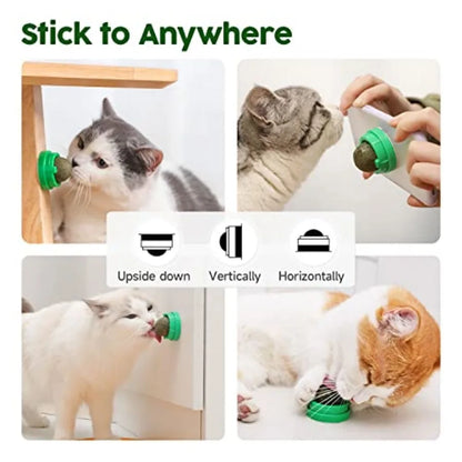 Catnip Toys Balls 4 Pcs