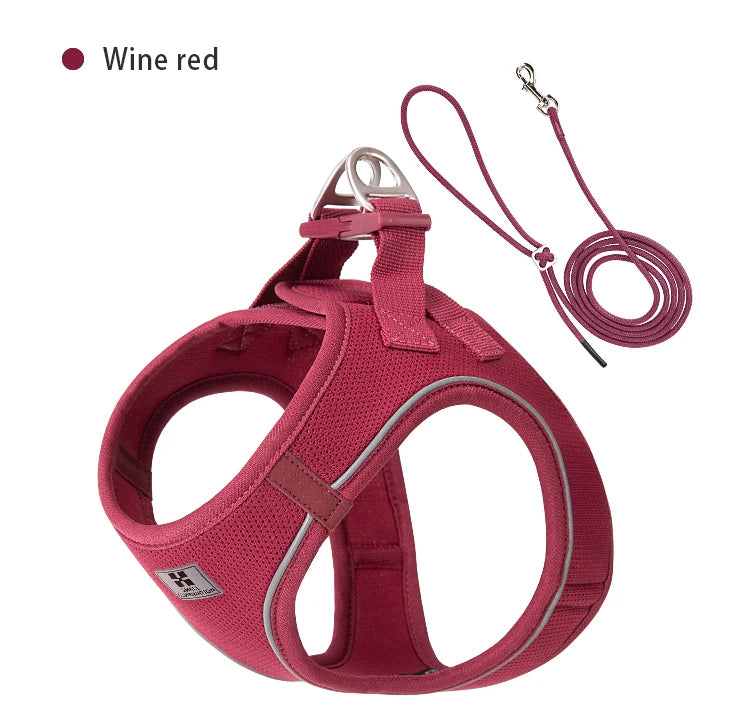 Dog Harness Leash Set