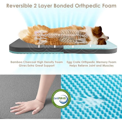Foldable Human Dog Bed