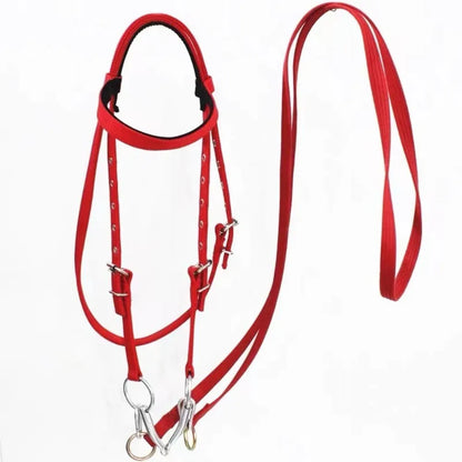 Riding Bridle Reins with Standard Thread Plate