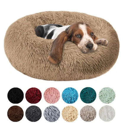Round Beds