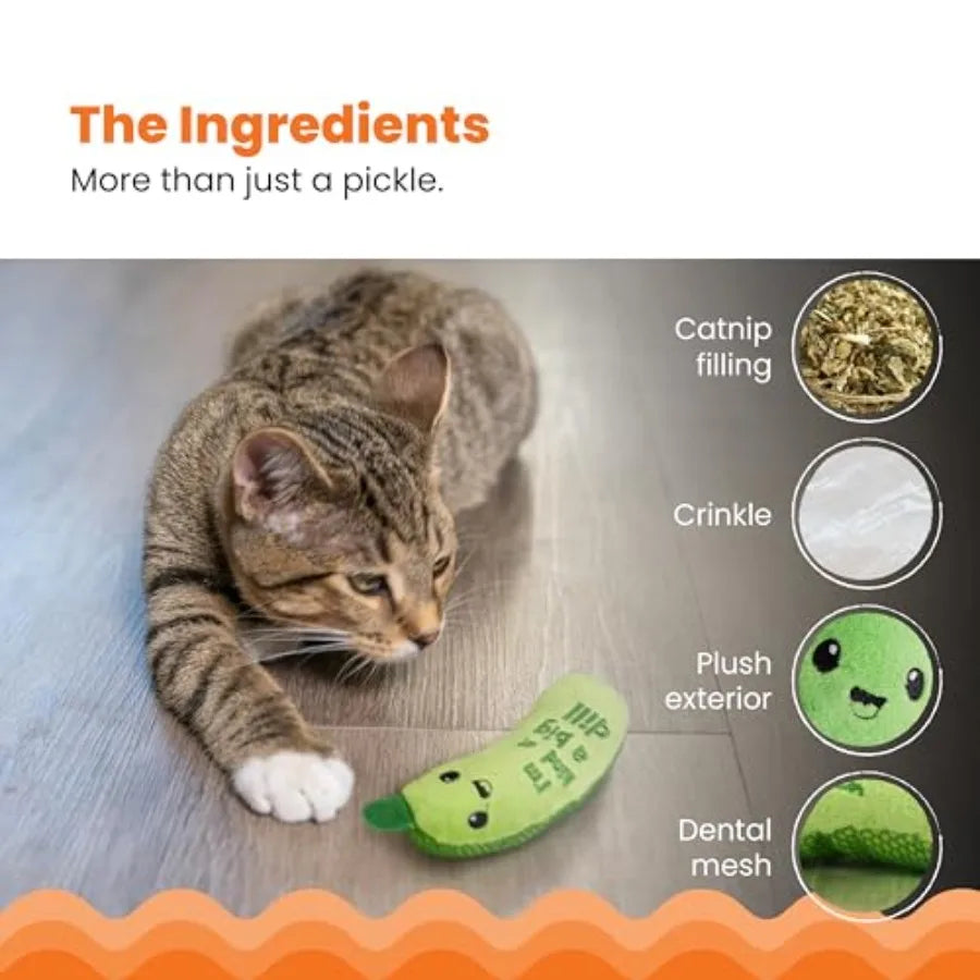 Cat Toy
