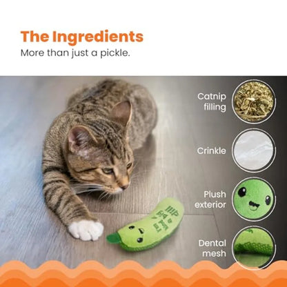 Cat Toy