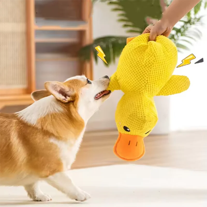 Duck dog toy