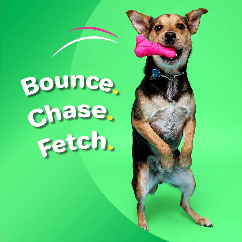 Bone Squeaky  Dog Toy