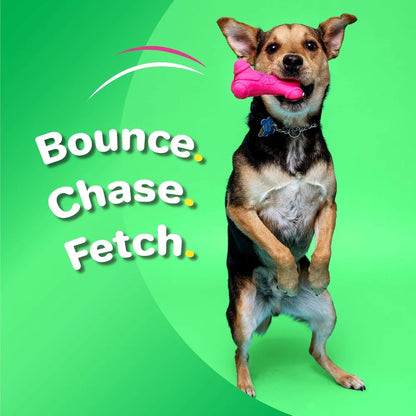 Bone Squeaky  Dog Toy