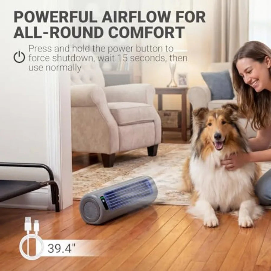 Elevated Outdoor Dog Bed with Fan