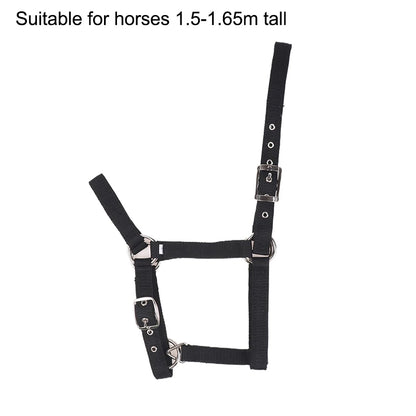 Adjustable Nylon Webbing Equestrian Western Horse Halter