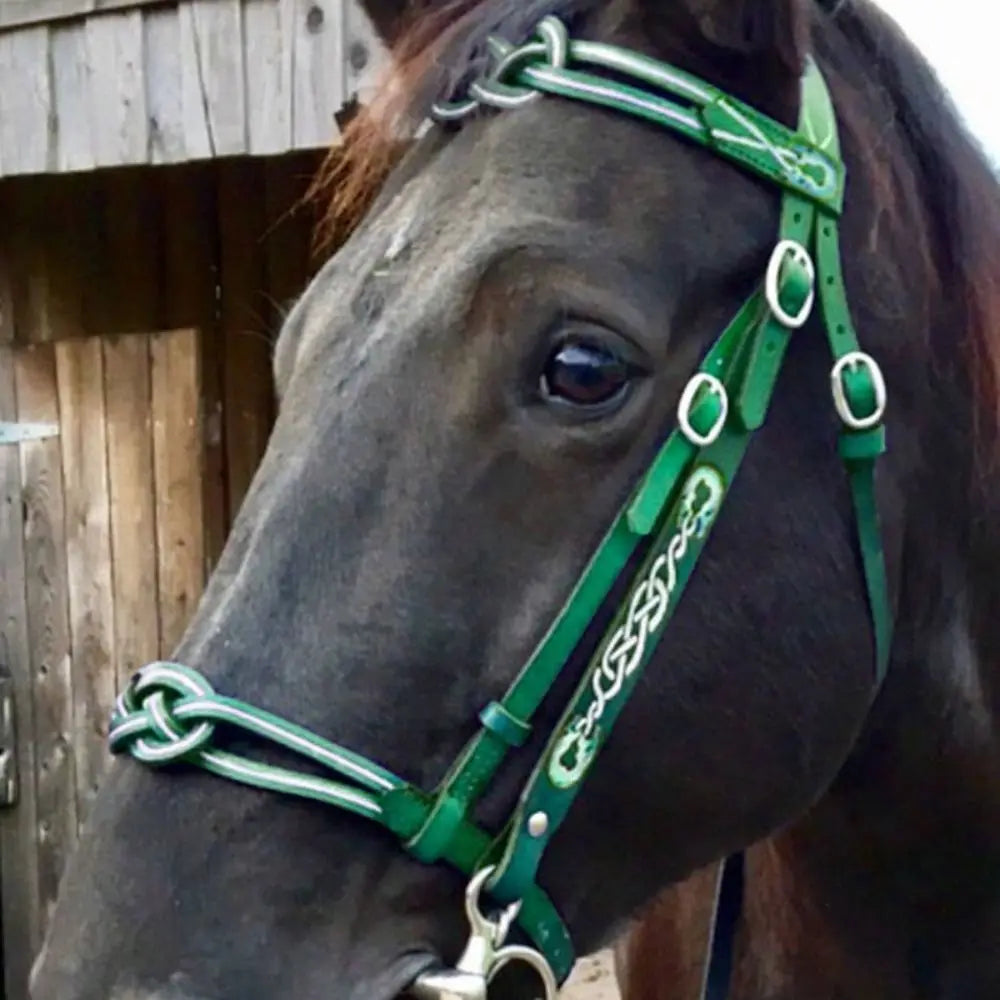 PU Leather Horses Bridle Halters