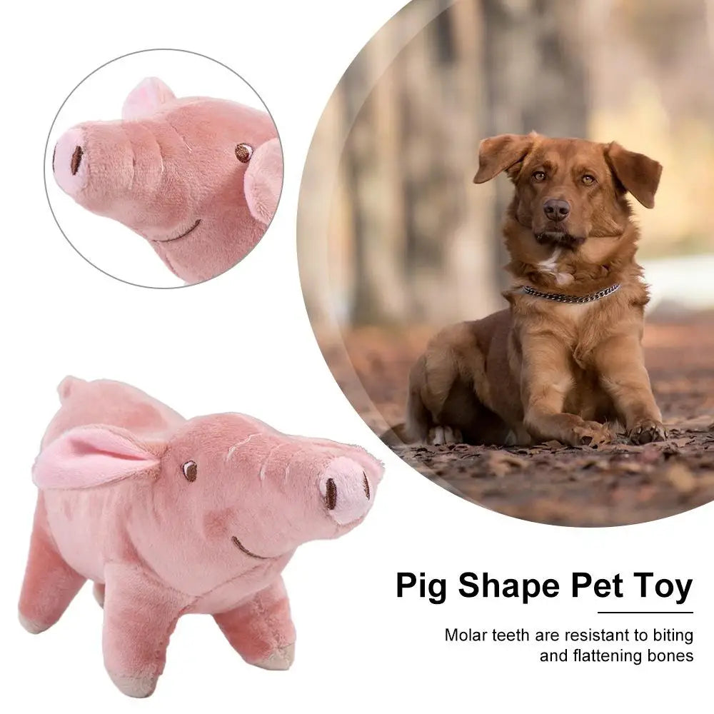 Pig Pet Toy