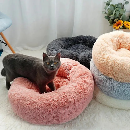 Round Beds